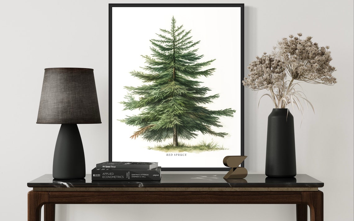 Red Spruce Tree Art Print Red Spruce Tree Wall Art Poster - Image 3