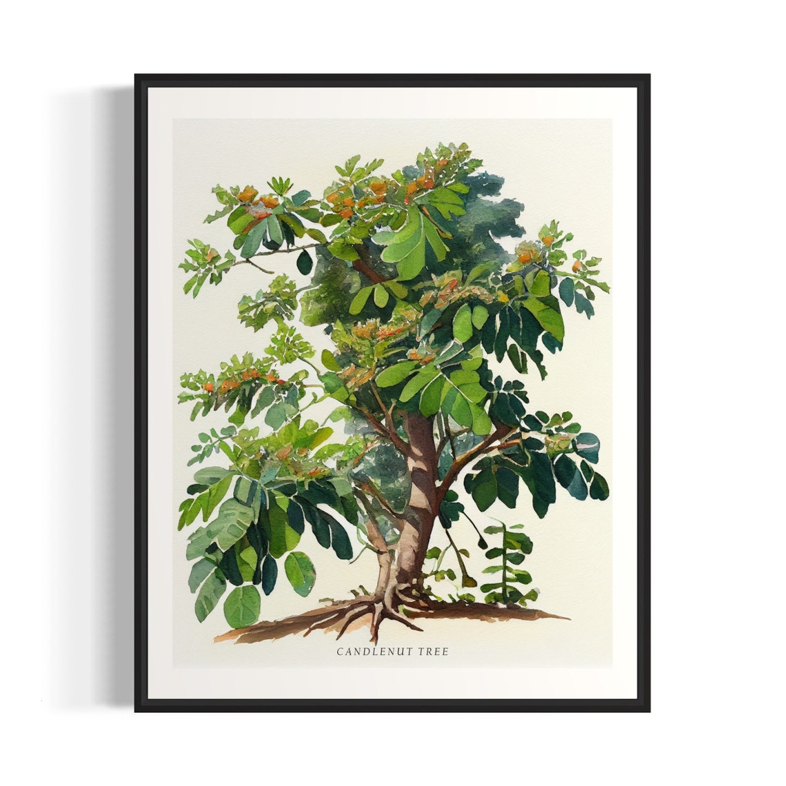 Candlenut Tree Art Print Candlenut Tree Wall Art Poster