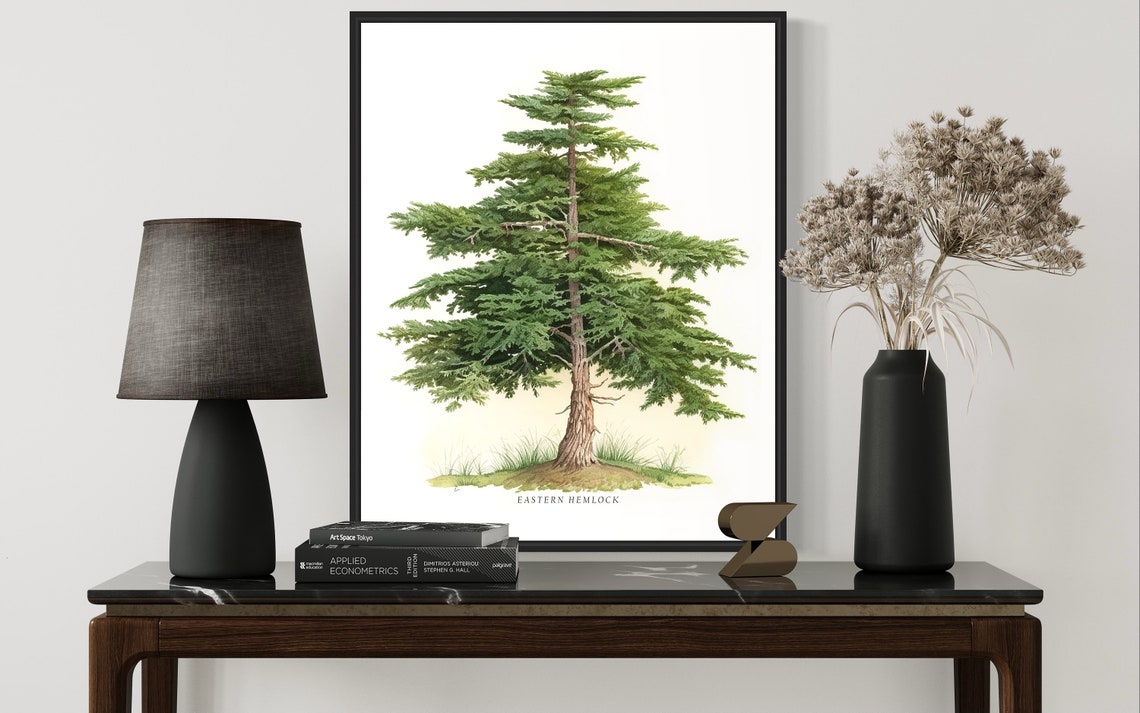 Eastern Hemlock Botanical Watercolor Layered Evergreen Tree Poster - Image 3