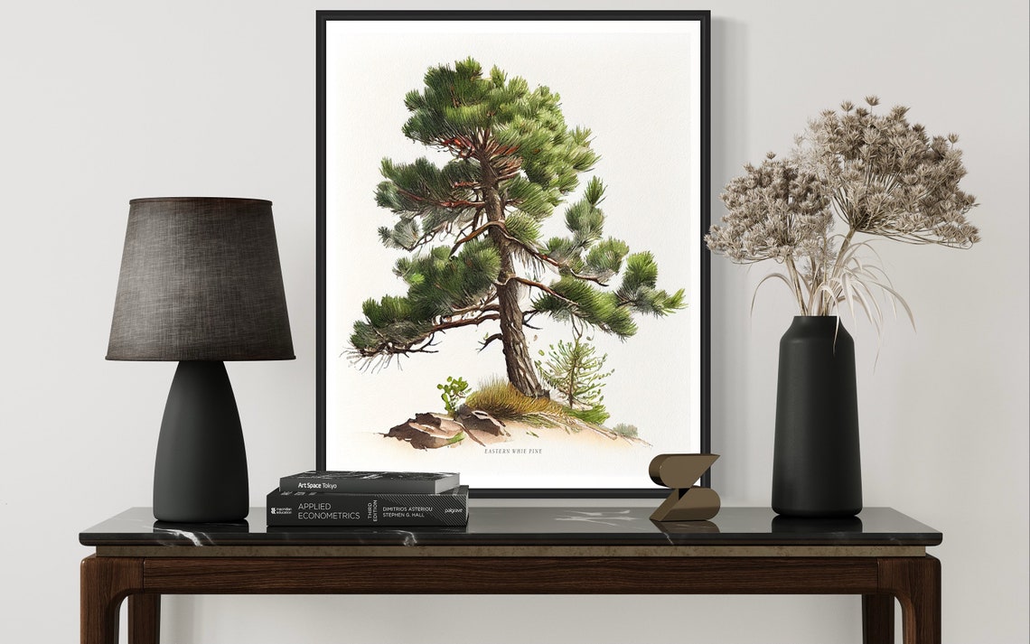 Eastern Whie Pine Tree Art Print Eastern Whie Pine Tree Wall Art Poster - Image 3