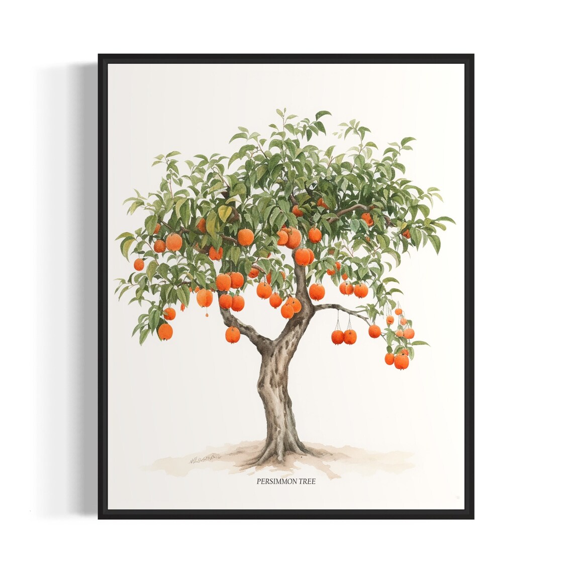 Persimmon Tree Art Print, Nature Wall Poster