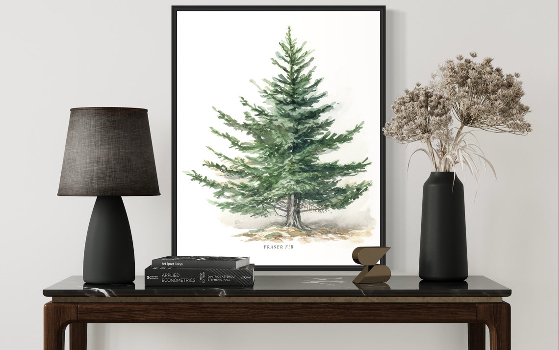 Fraser Fir Tree Art Print Fraser Fir Tree Wall Art Poster - Image 3