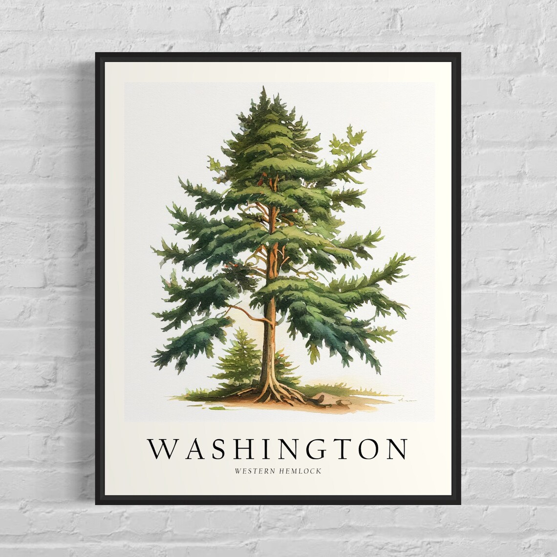 Washington State Tree Art Print, Western Hemlock Symbol