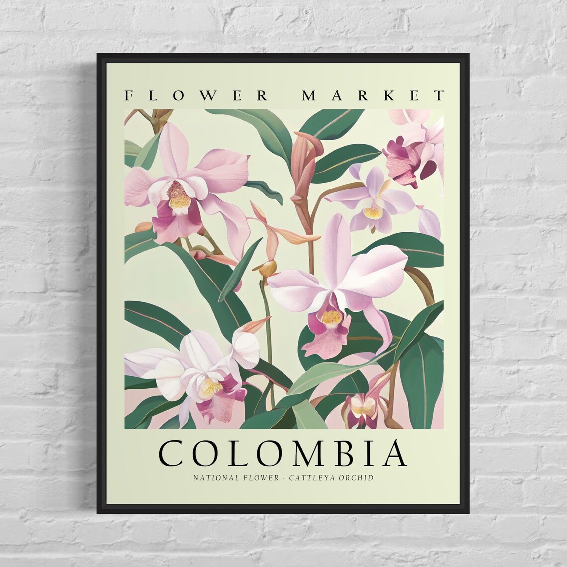 Colombia National Flower Cattleya Orchid Art Print