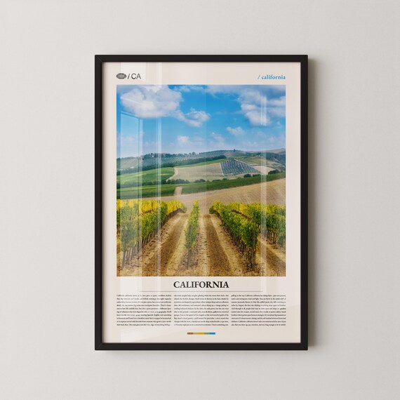 California Vineyard Rows Rolling Hills Photo Poster Wine Country