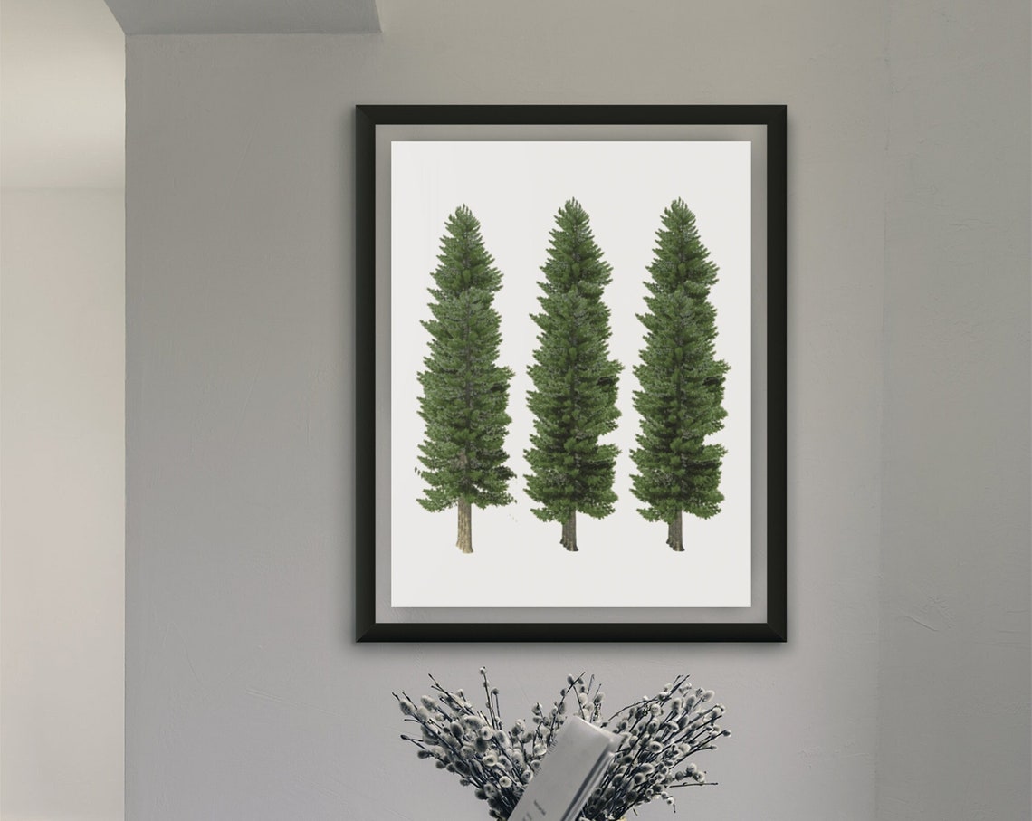 Pine Tree Trio Minimalist Evergreen Botanical Modern Wall Decor Poster