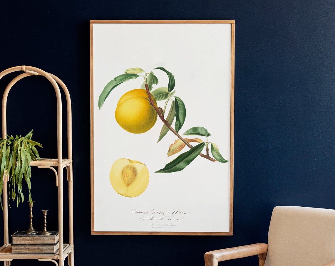Yellow Peaches Botanical Art Print, Living Room