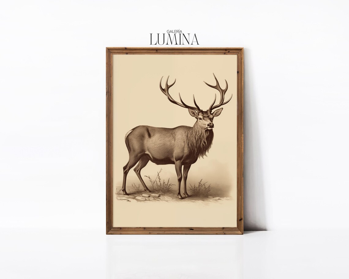 Vintage Stag Drawing Antique Deer Illustration Art Print - Image 3