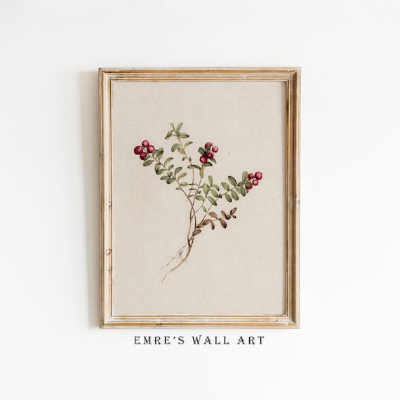 Botanical Cranberry Branch Watercolor Vintage Plant Study Poster