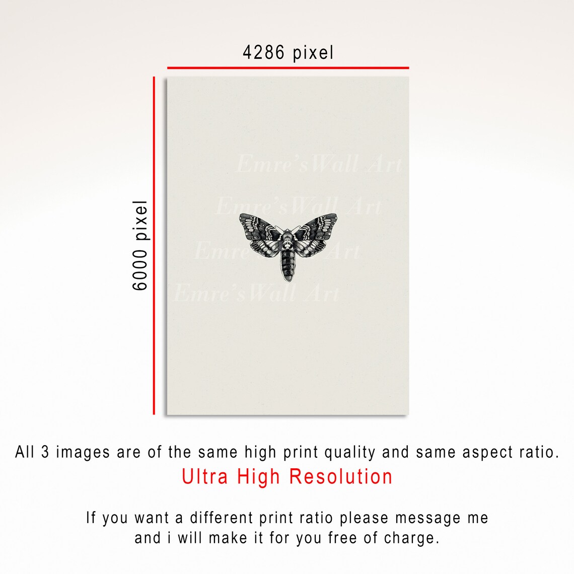 Vintage Sketch Butterfly, Palm, and Crab Art Print Set - Image 4