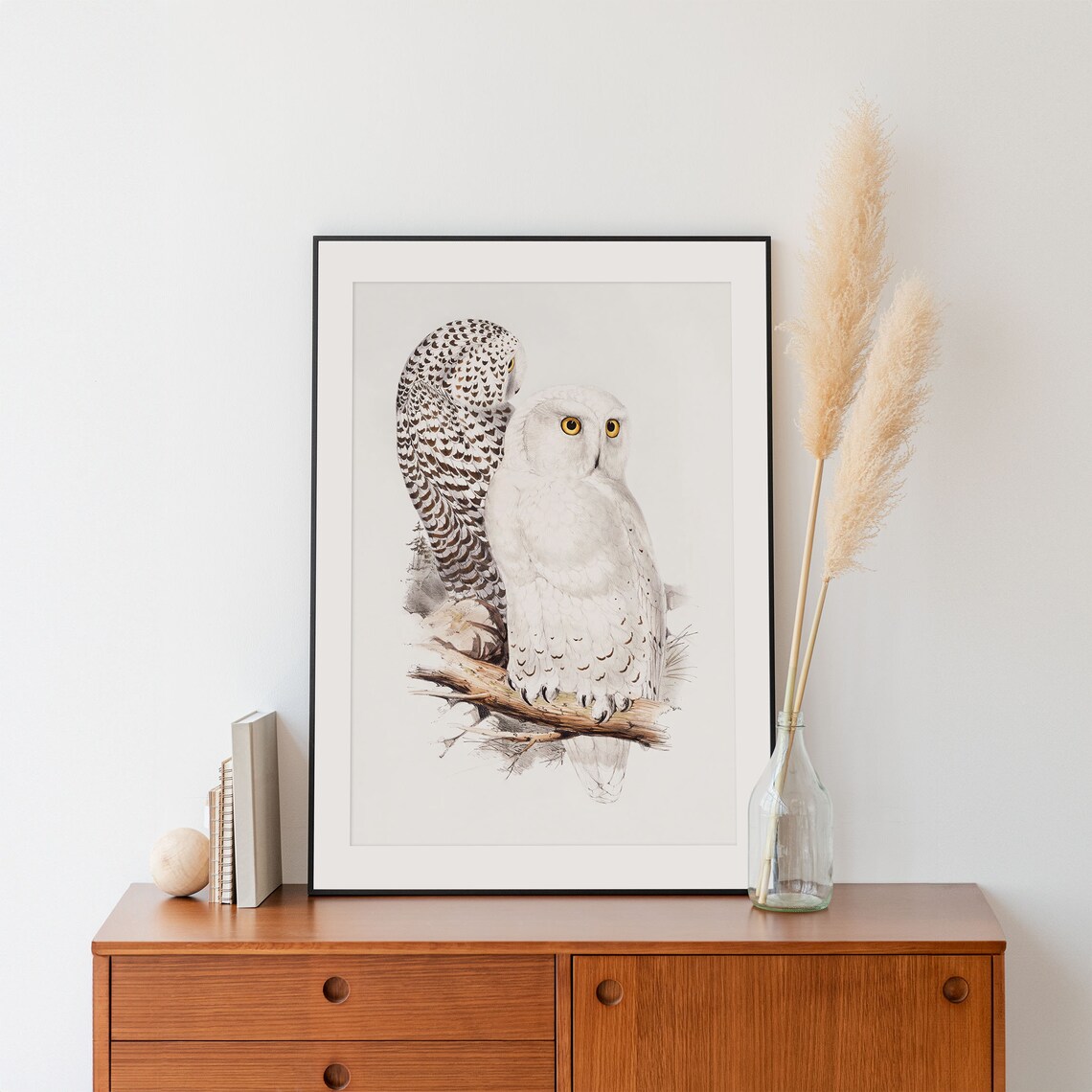 Two Snowy White Owls on Branch Vintage Bird Illustration Art Poster - Image 4