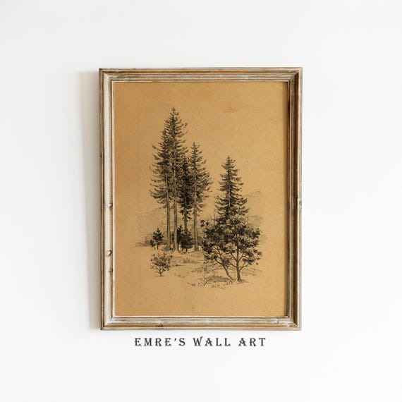 Vintage Pine Trees Sketch Art Print Antique Forest Drawing Wall Decor Rustic Landscape Artwork