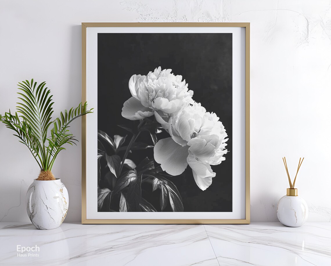 Peony Flowers Black And White Floral Art Print