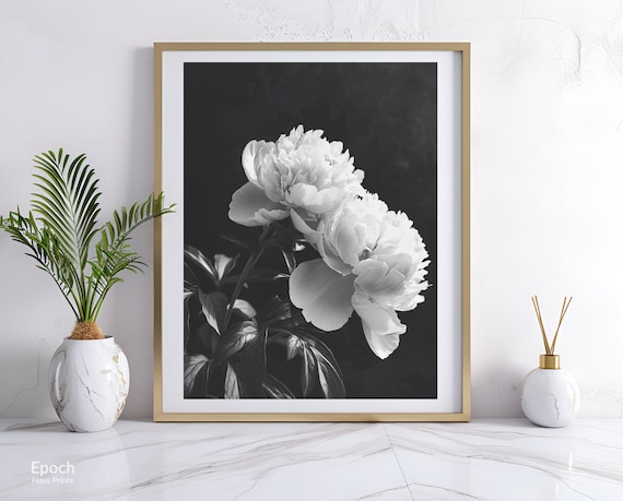 Peony Flowers Black And White Floral Art Print