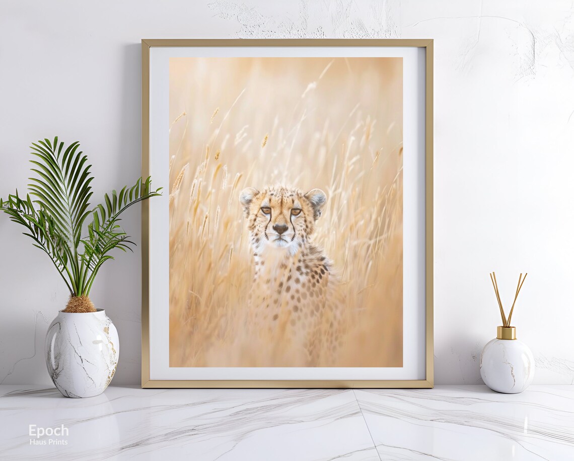 Cheetah Sitting In Tall Golden Grass Wildlife Photography Poster