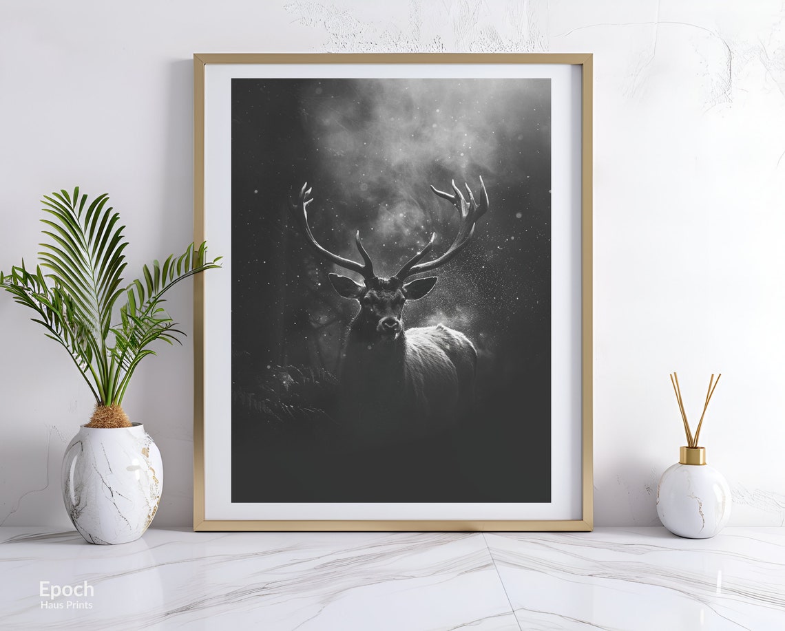 Male Deer Buck Stag, Black And White Photo Print