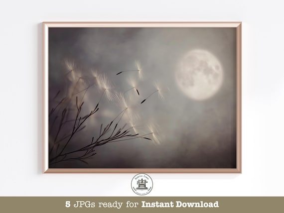 Moonlit Dandelion Print Japandi Wabi Sabi Nature Art