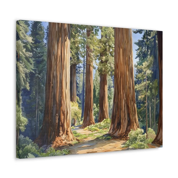 Morning Redwood Forest Hike Maximalist Eclectic Print Fantasy Rustic Art Painting Eccentric Wall Print Airbnb Art Wall Decor