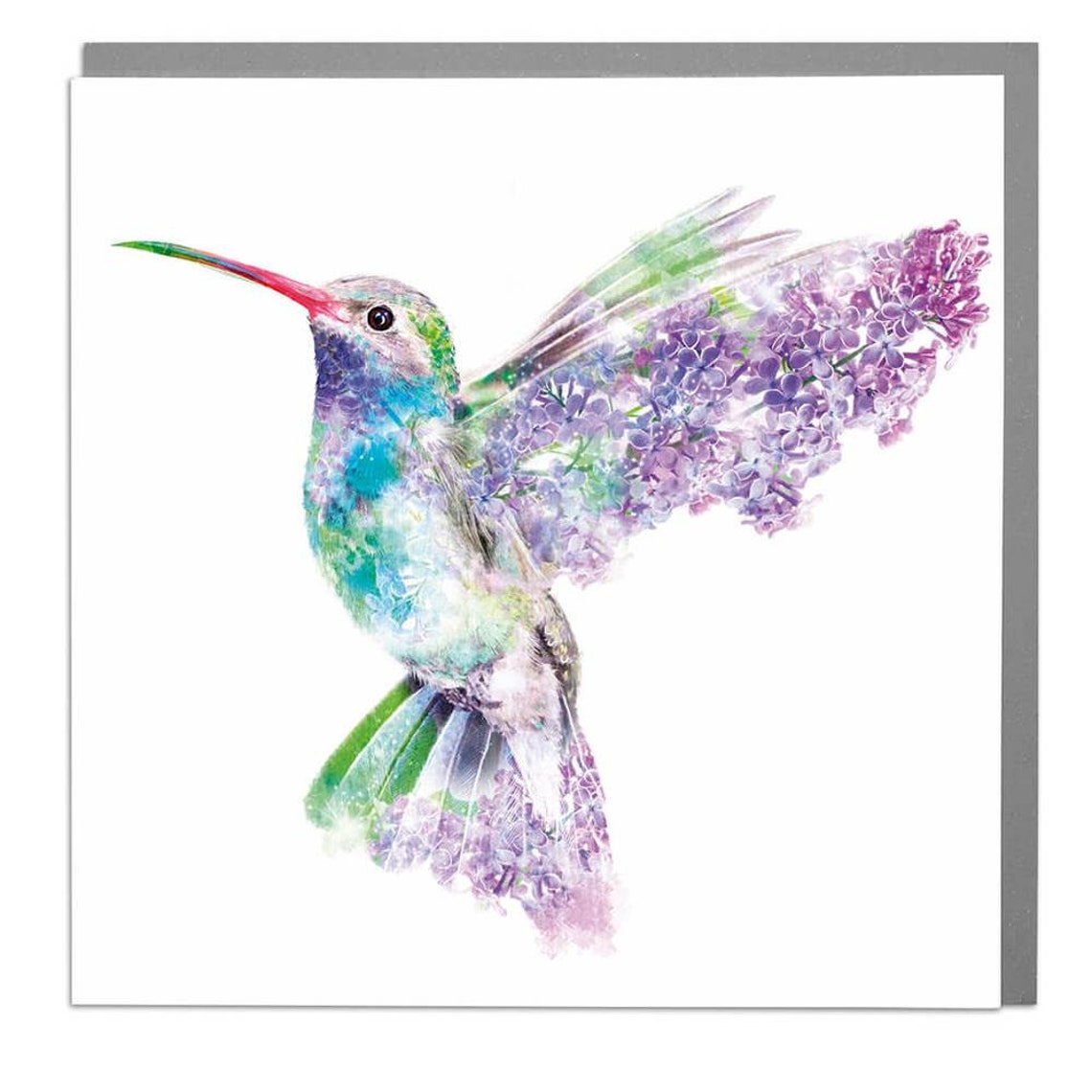 Hummingbird Lilac Blossom Flight Blank Art Greeting Card Print