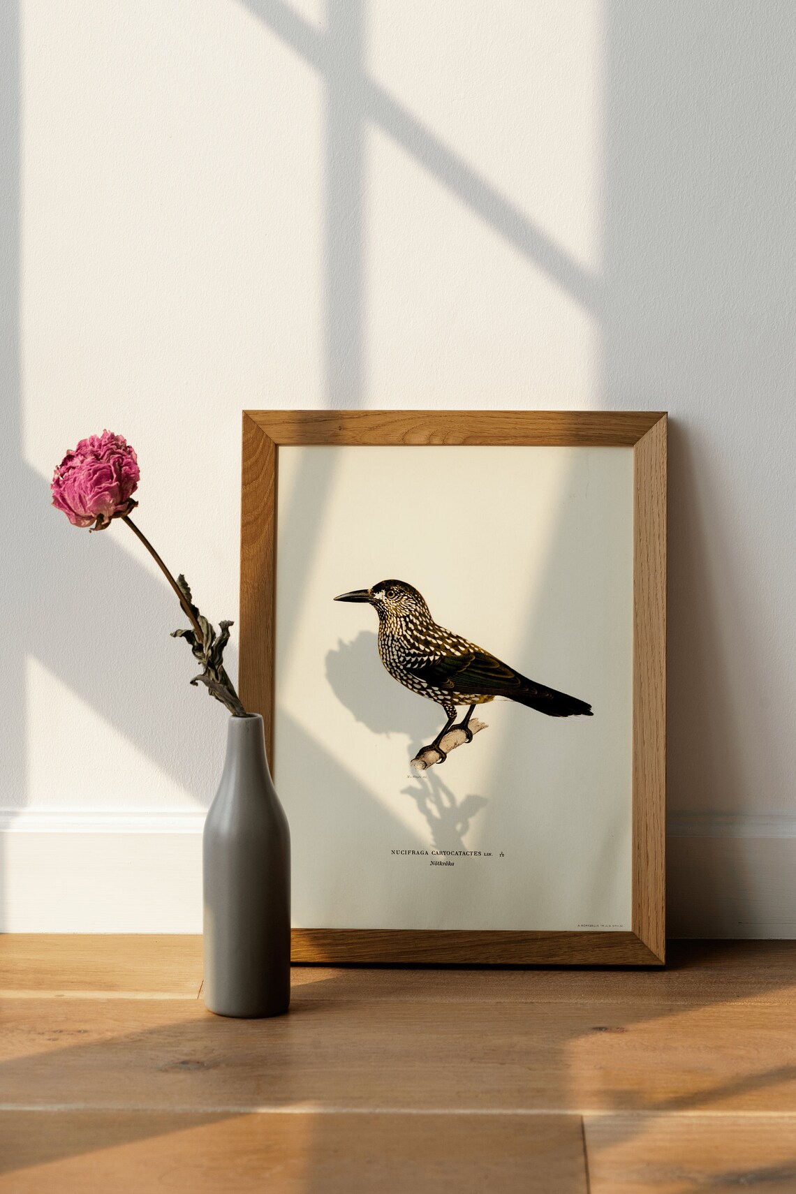 Spotted Nutcracker Vintage Bird Illustration Natural History Art Poster - Image 4