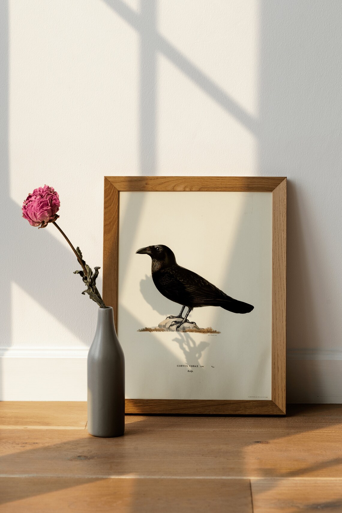 Common Raven Vintage Nature Art Print Poster - Image 2