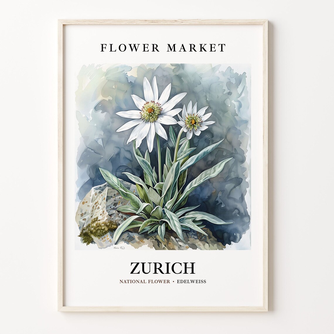 Zurich Switzerland Edelweiss Flower Market Botanical Art Poster