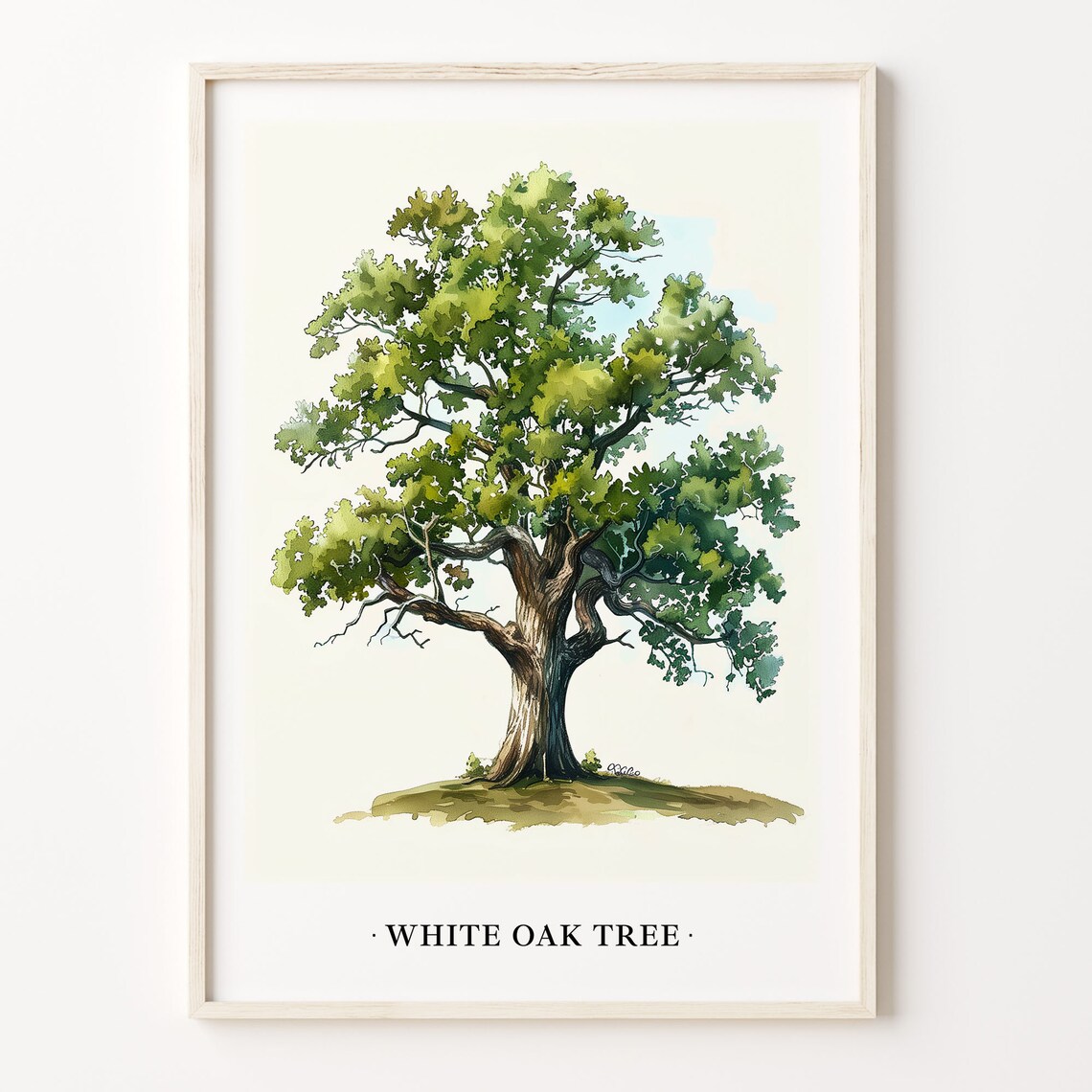 White Oak Tree Art Print, Rustic Botanical Decor