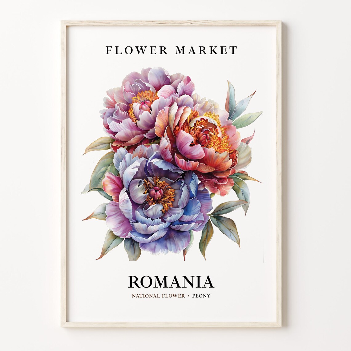 Romania State Flower Peony, 1960s Botanical Print