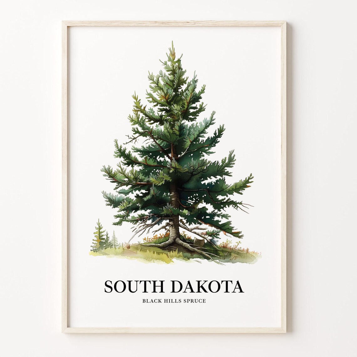 South Dakota Black Hills Spruce State Tree Art Print