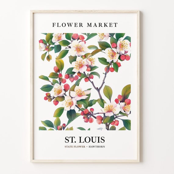 St Louis Missouri Flower Market Art Print, Botanical Pastel