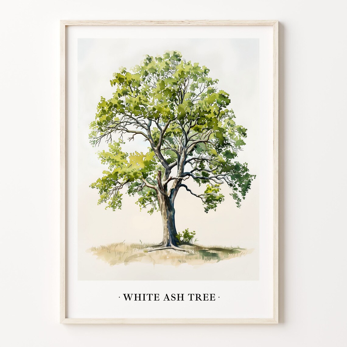 White Ash Tree Nature Poster, Botanical Decor