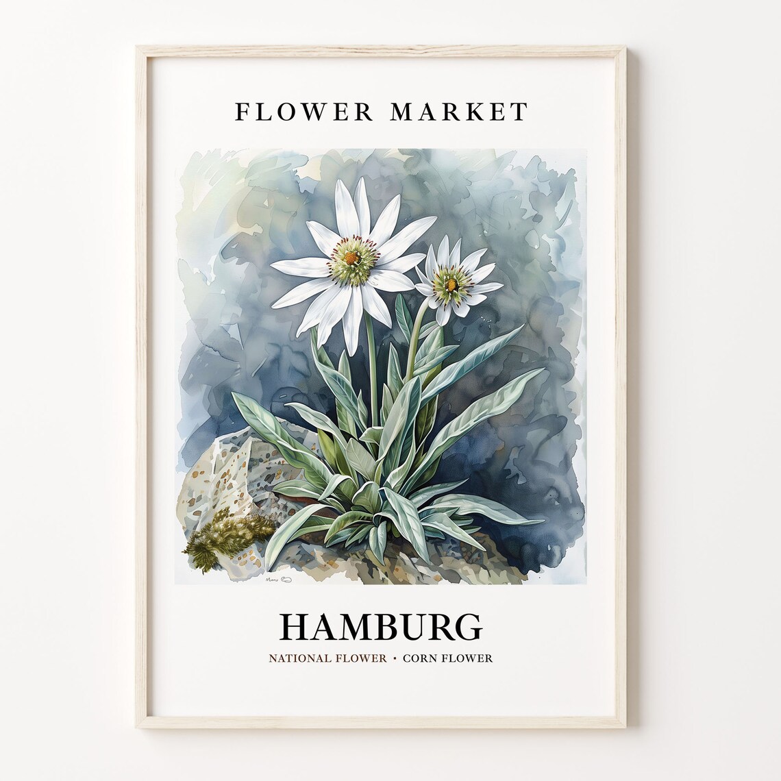 Hamburg Corn Flower National Flower Market Botanical Art Poster
