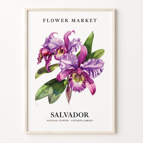 Salvador Brazil Flower Market Art Print Cattleya Labiata Flower Wall Art Botanical Poster Home Decor C31 298