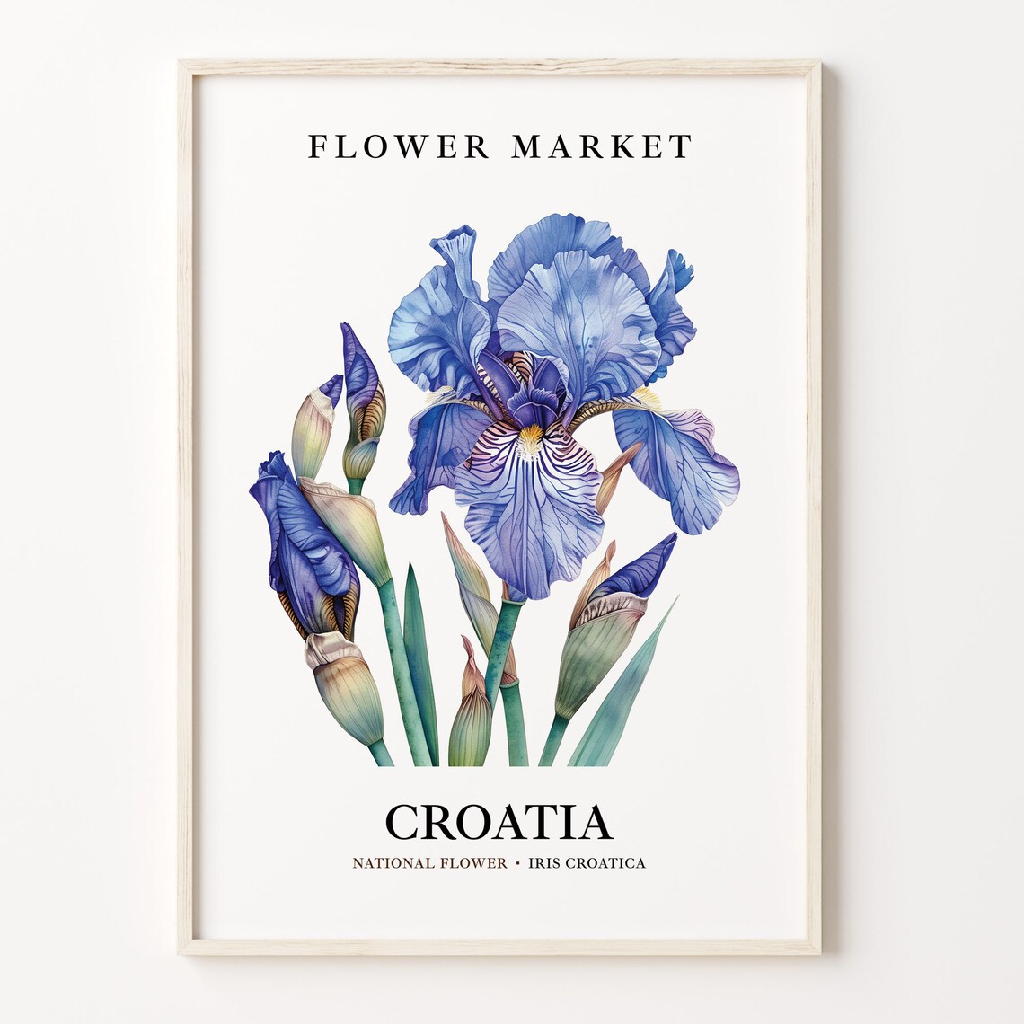 Croatia Flower Market Iris Croatica Art Print