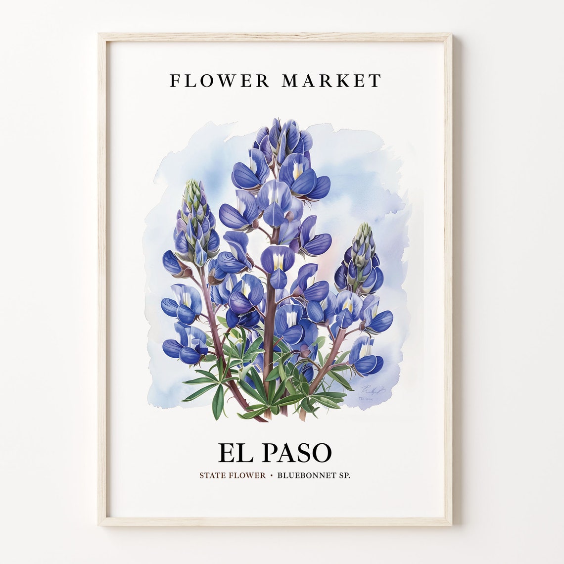 El Paso Texas Bluebonnet Wildflower Watercolor Market Art Poster