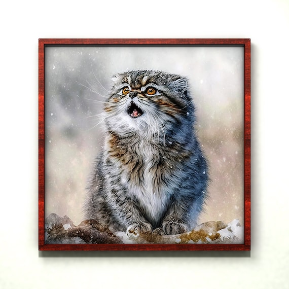 Fluffy Pallas Cat Manul in Winter Snow with Golden Eyes Poster