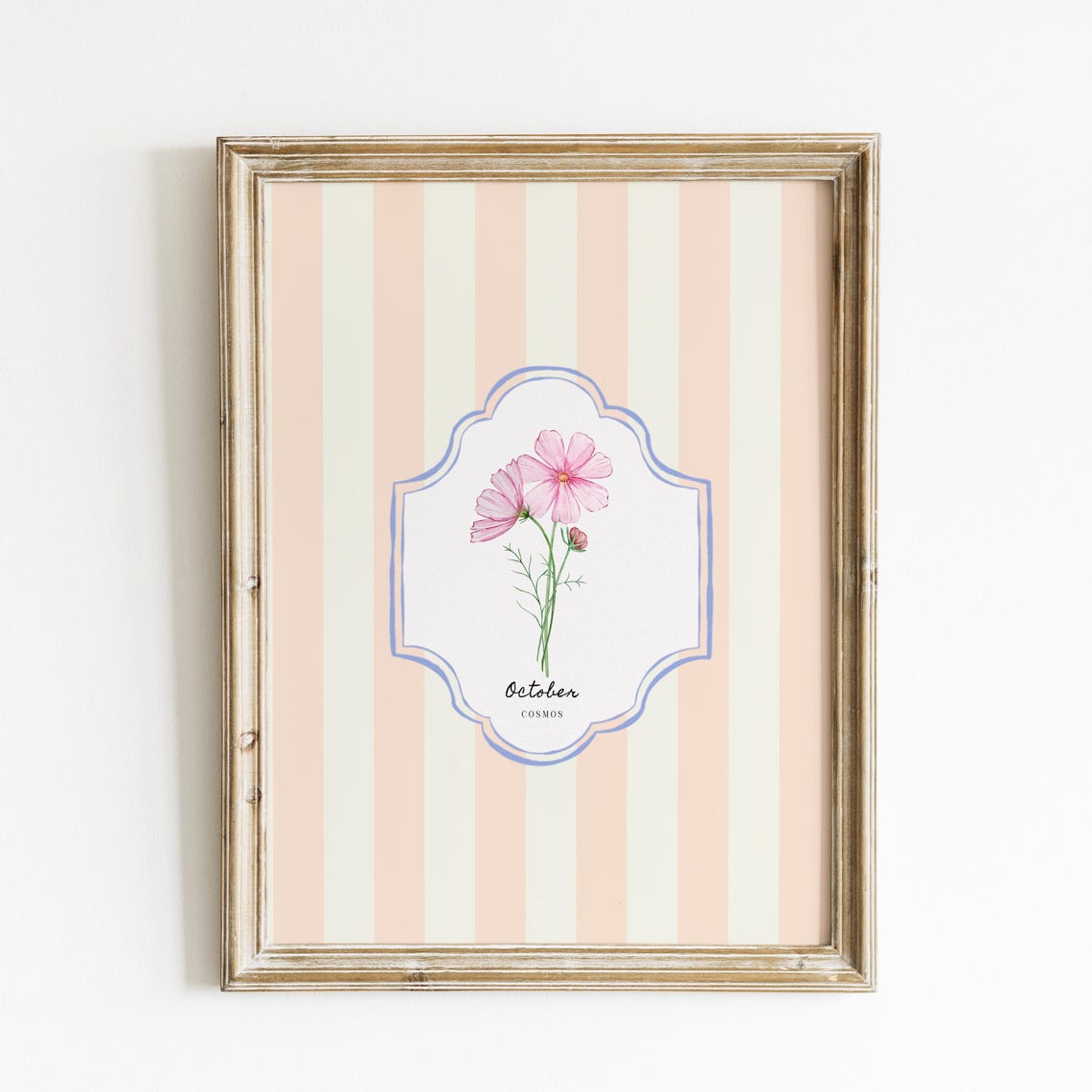 October Cosmos Birth Flower Peach Striped Botanical Wall Art Print