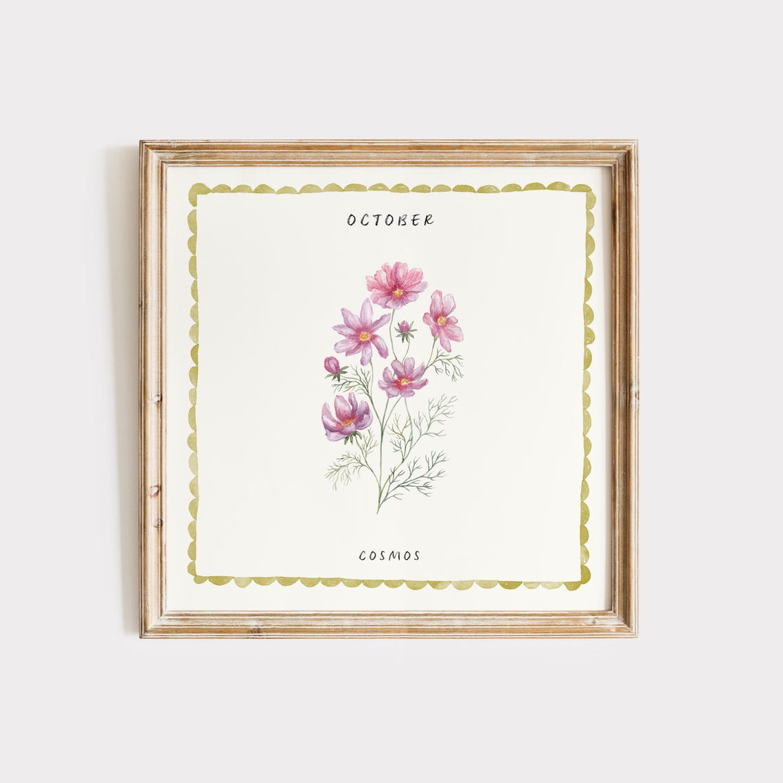 October Cosmos Watercolor Birth Month Flower Botanical Poster