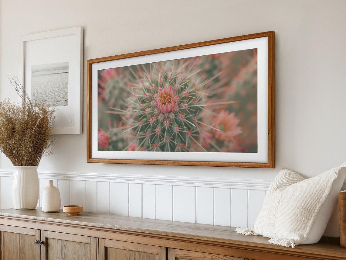 Blooming Cactus Macro Pink Flowers Desert Plant Close Up Photo Poster - Image 3