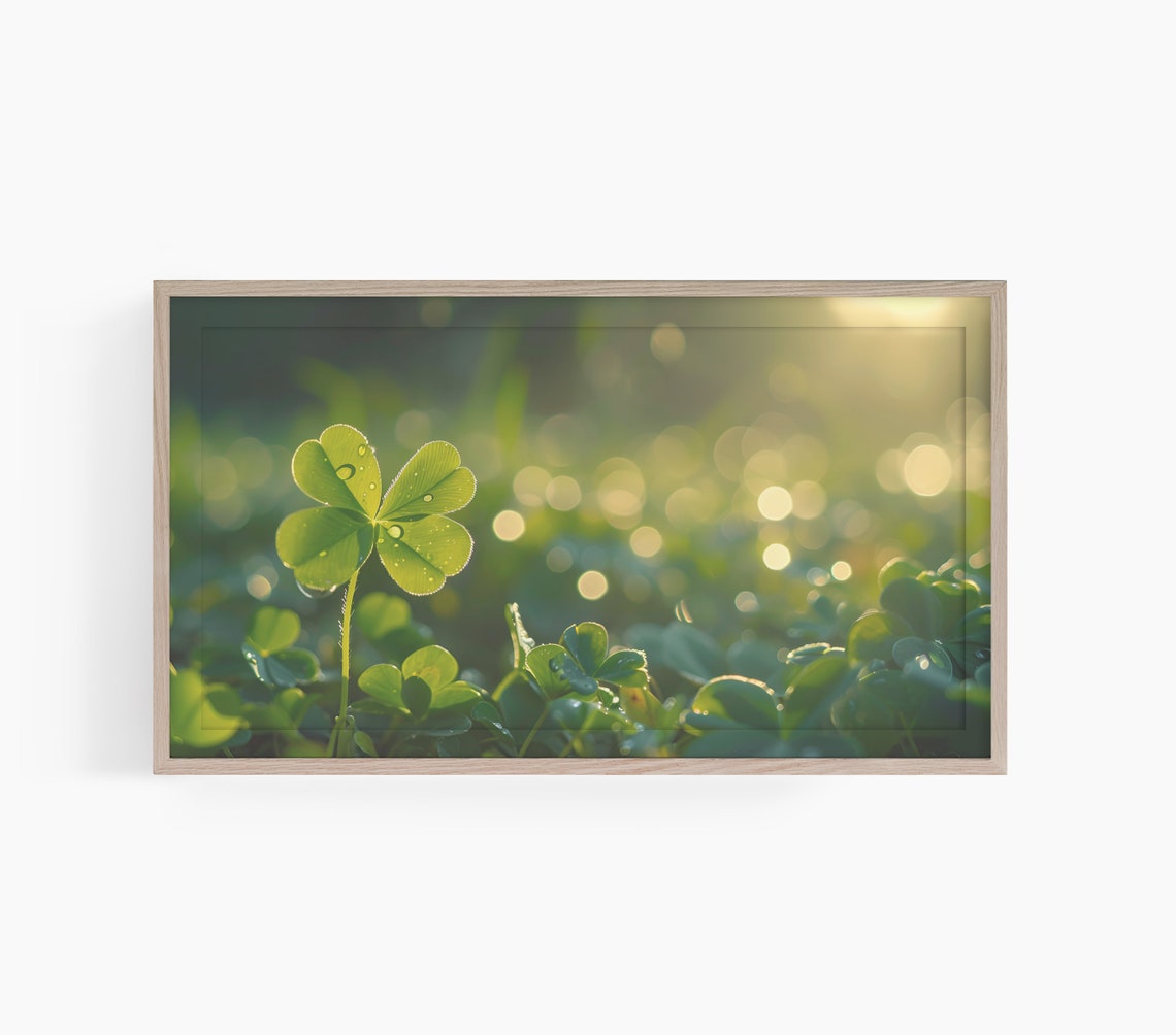 Dewy Lucky Four Leaf Clover Morning Light Close Up Art Poster