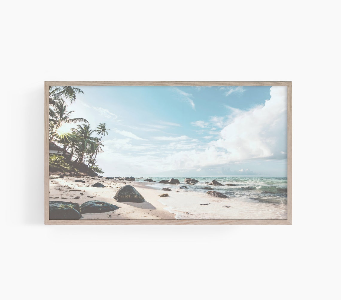 Tropical Palm Beach Rocky Shore Bright Blue Sky Photo Poster