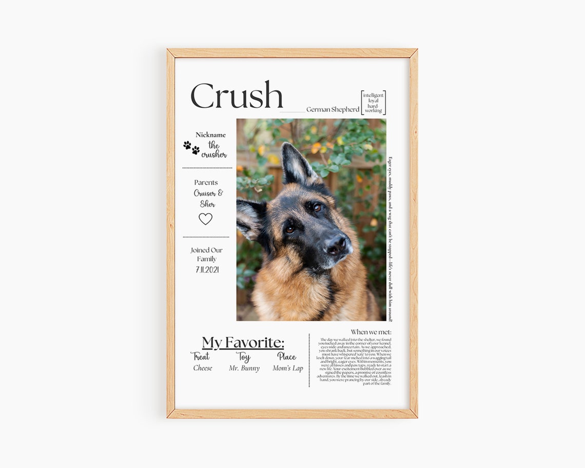 Crush German Shepherd Dog Biography Custom Pet Photo Art Poster