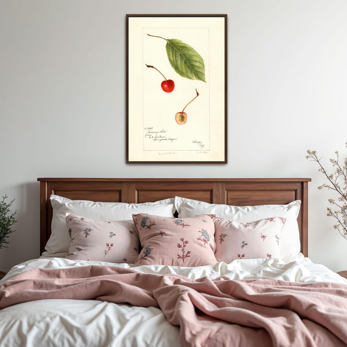 Red Cherry With Green Leaf Whole And Halved Botanical Study Art Poster - Image 5
