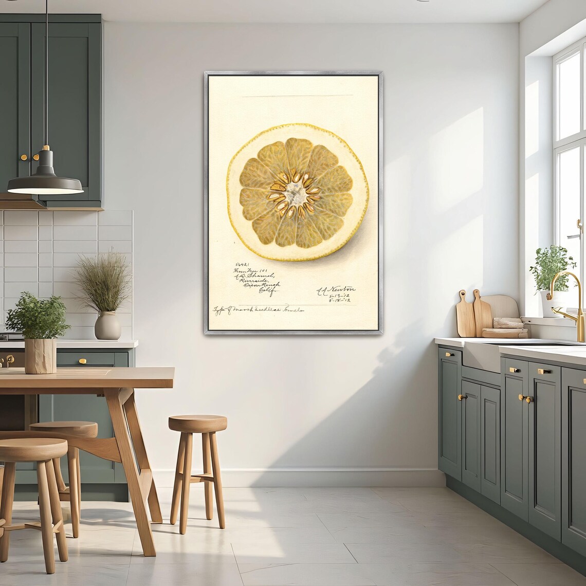 Citrus Fruit Cross Section Vintage Pomelo Slice Botanical Art Poster - Image 2