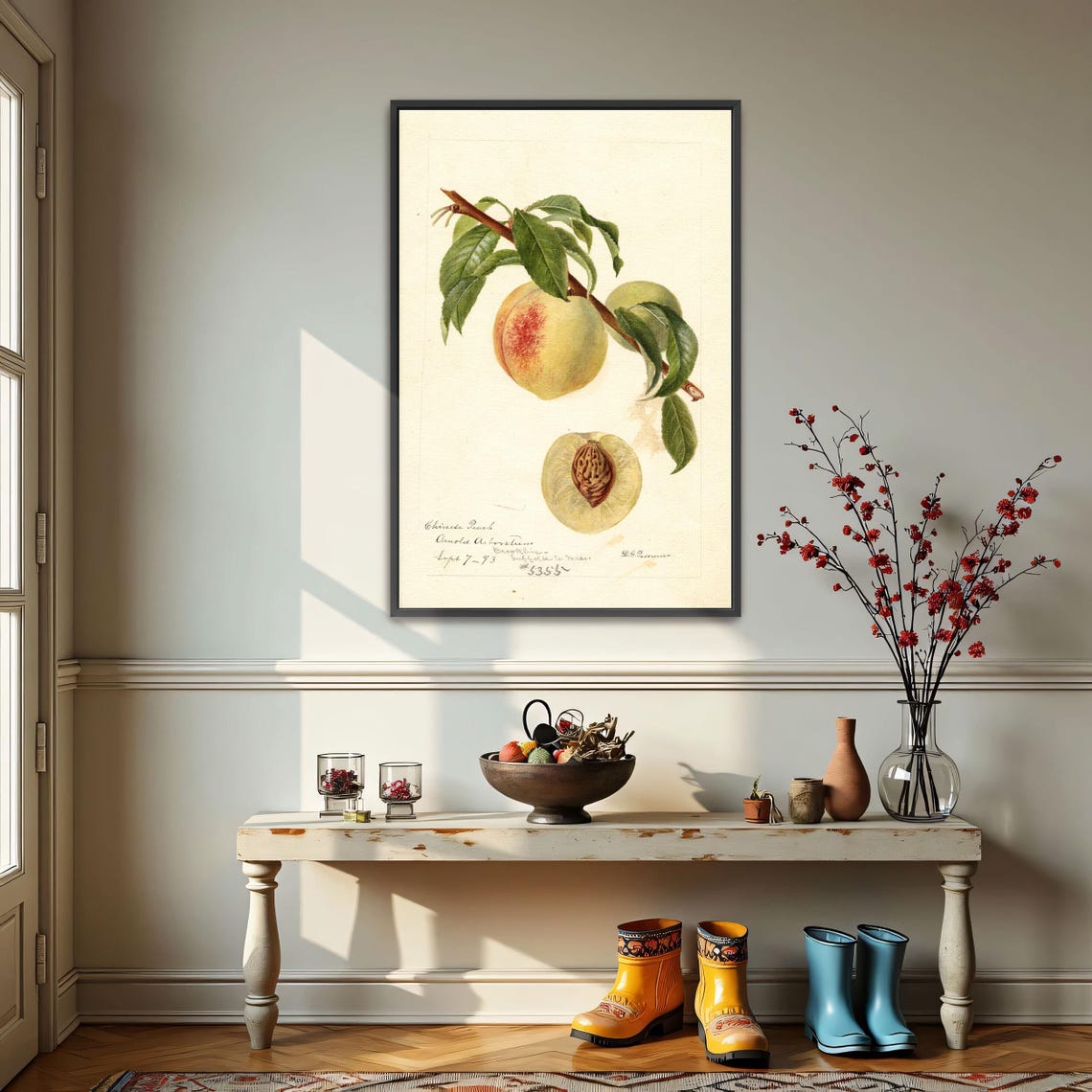 Chinese Peach On Branch With Pit Antique Botanical Study Art Poster