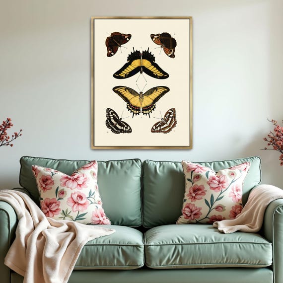 Framed Wall Art Of Five Butterflies On A White Background Animal Wall Art Black And Brown Bedroom Art Print Victorian Illustration