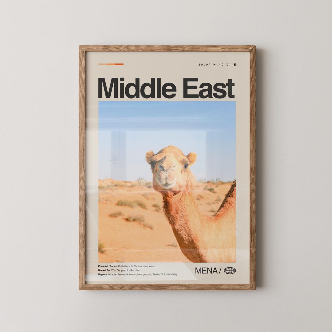 Middle East Camel Desert MENA Photo Coordinates Travel Poster
