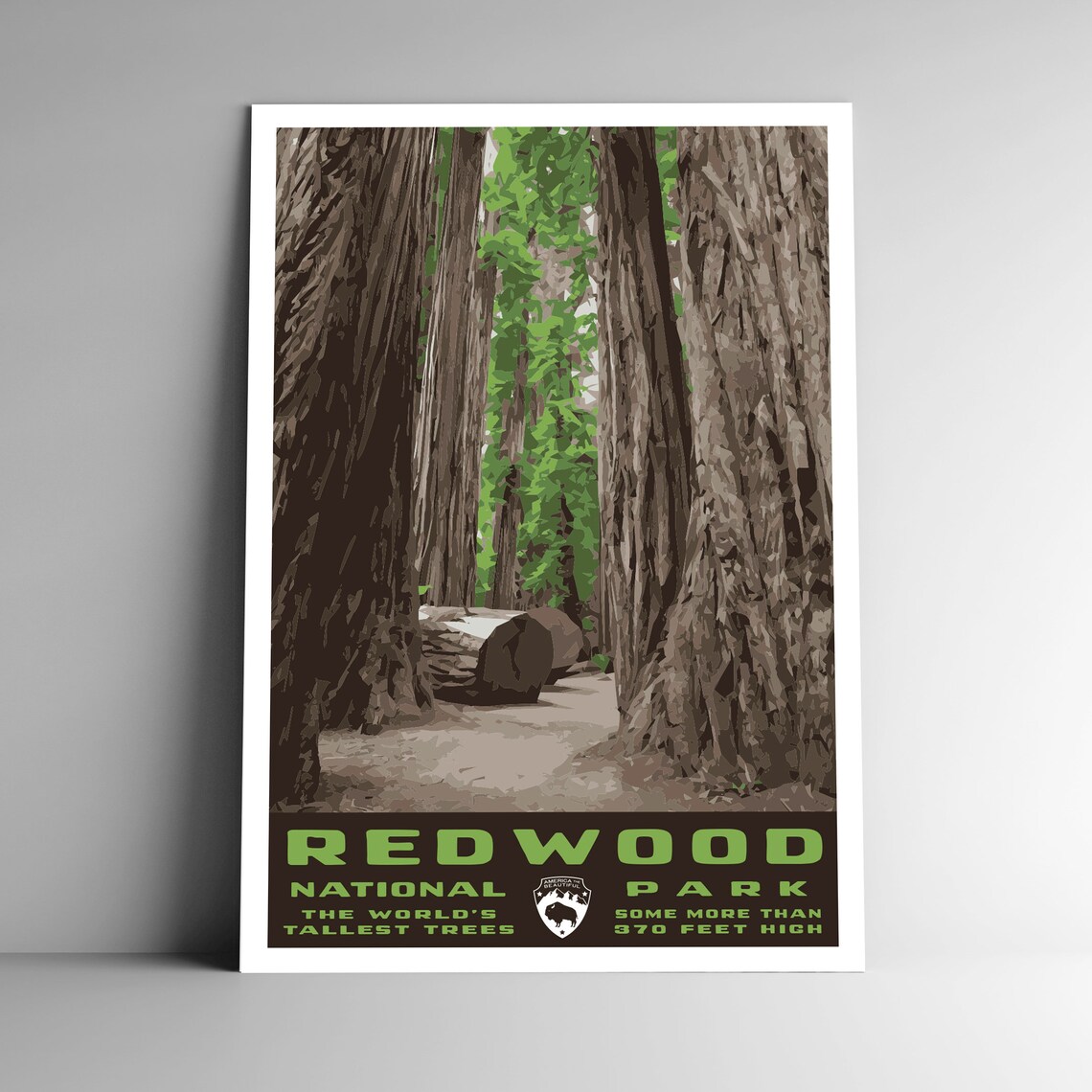 Redwood National Park Postcard Sticker Travel Poster