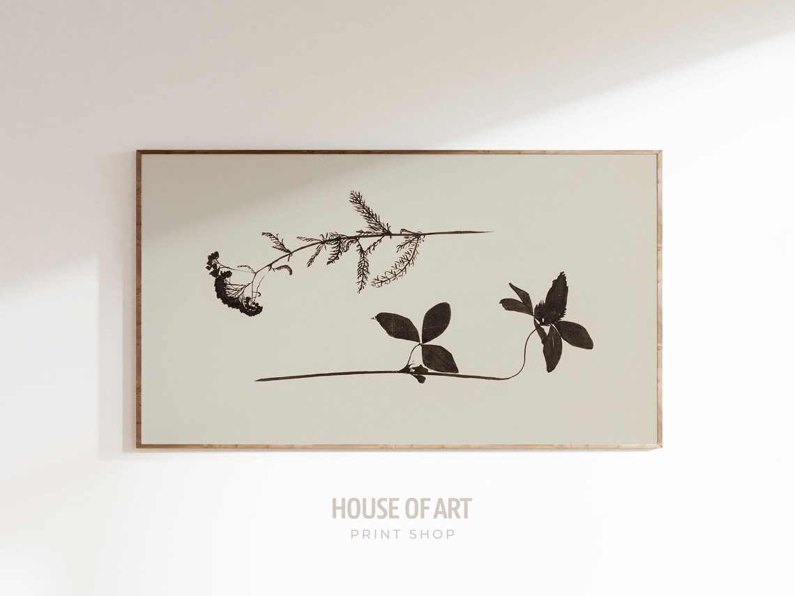 Vintage Two Flowers Botanical Art Print, Ink - Image 3