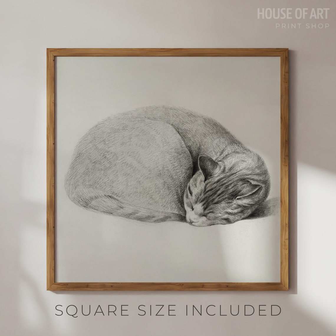 Sleeping Cat Curled Up Pencil Sketch Vintage Feline Art Print - Image 2